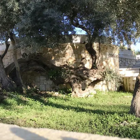 Sinerchia Holiday home