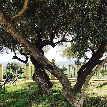 Sinerchia Holiday home *